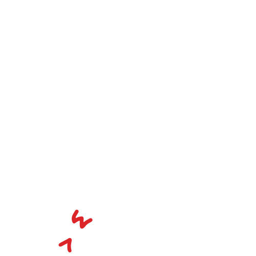 Boichik Bagels